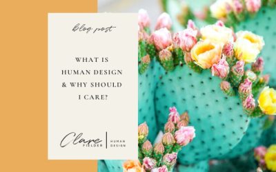 What is Human Design and Why Should I Care?